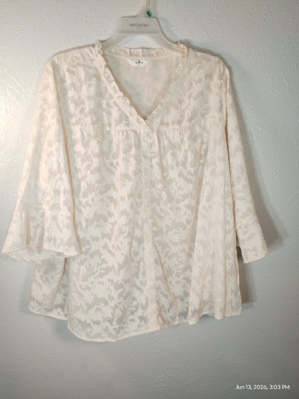Agnes Orinda Lace Blouse – Women's Plus Size 4X – Cream